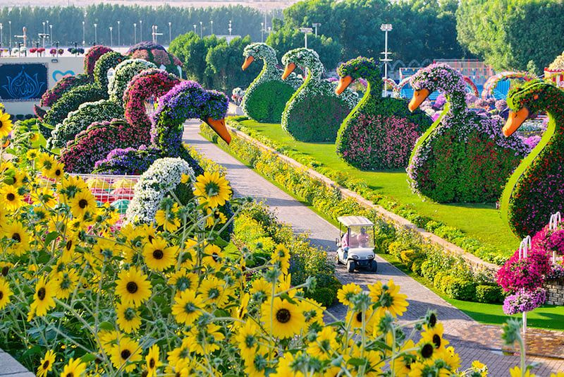 Travel Destination 1